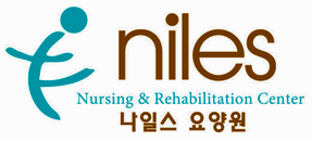 Niles Logo